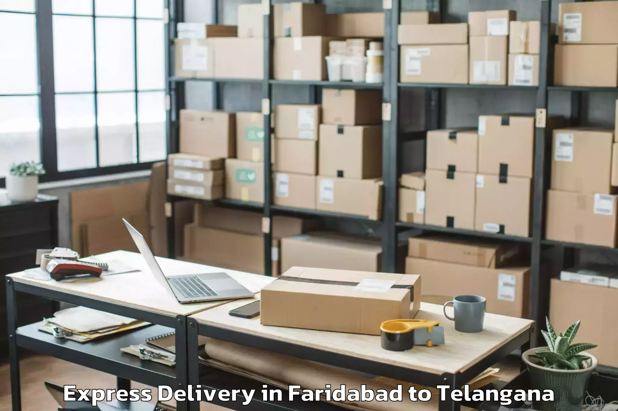 Leading Faridabad to Nelakondapalle Express Delivery Provider